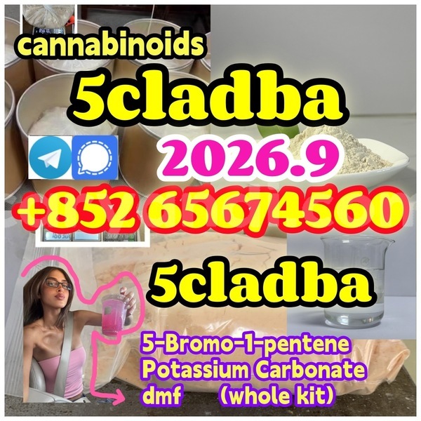 Big with watermark wefgwrgergerg