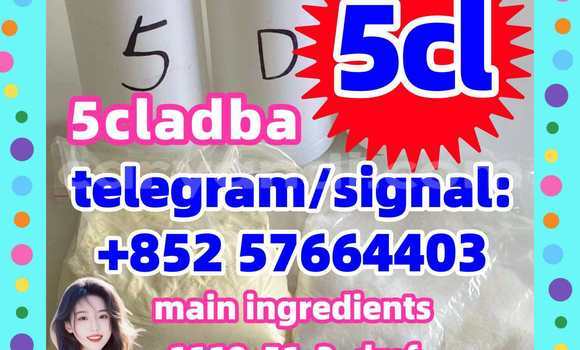 Medium with watermark 51