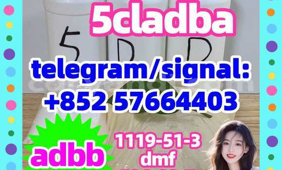 Medium with watermark 52