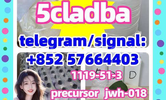 Medium with watermark 53