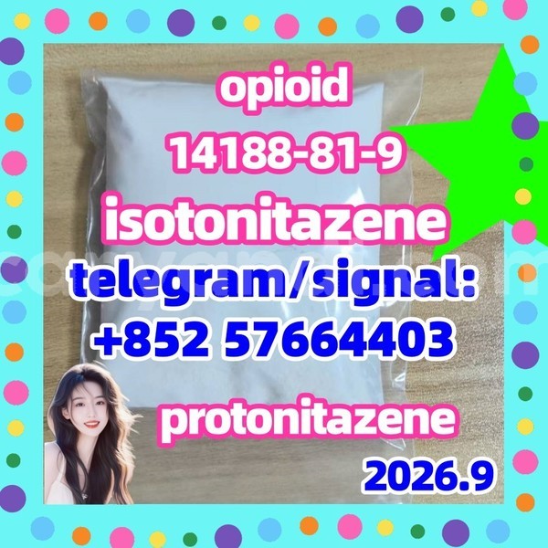 Big with watermark i1