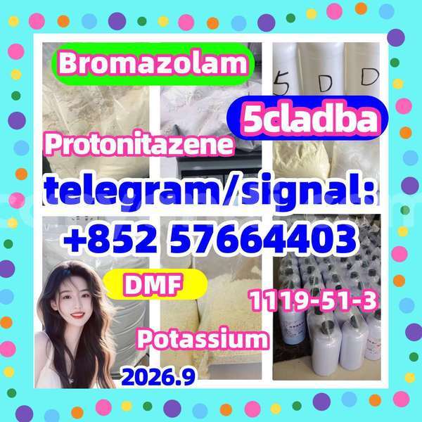 Big with watermark z1