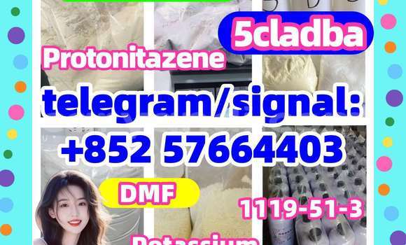 Medium with watermark z1