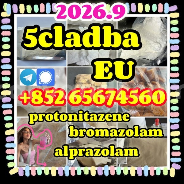 Big with watermark ewdgveargetrg