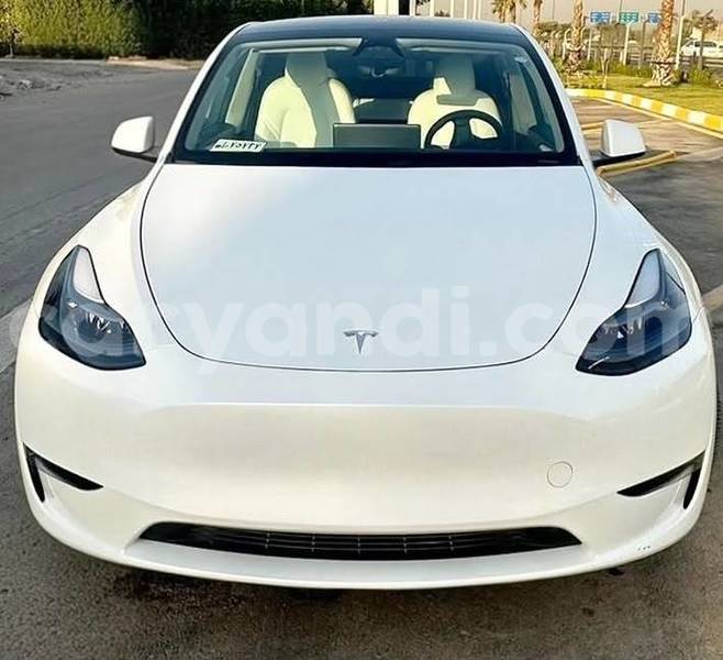 Big with watermark tesla model x zambia lusaka 37762