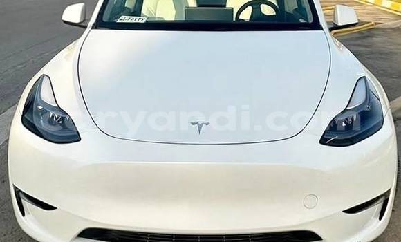 Buy Used Tesla Model X White Car in Lusaka in Zambia