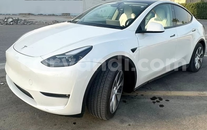 Big with watermark tesla model x zambia lusaka 37762