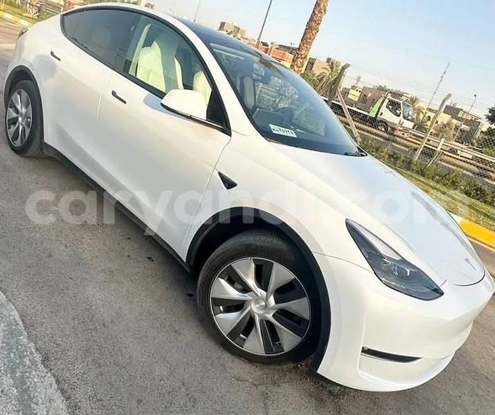Big with watermark tesla model x zambia lusaka 37762