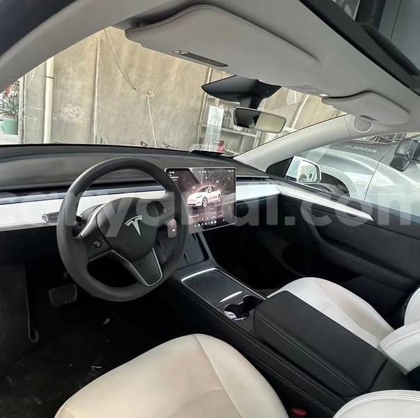 Big with watermark tesla model x zambia lusaka 37762