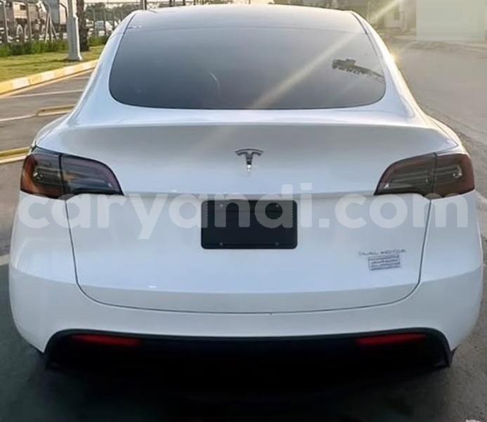 Big with watermark tesla model x zambia lusaka 37762