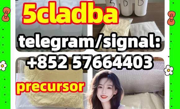 Medium with watermark 52