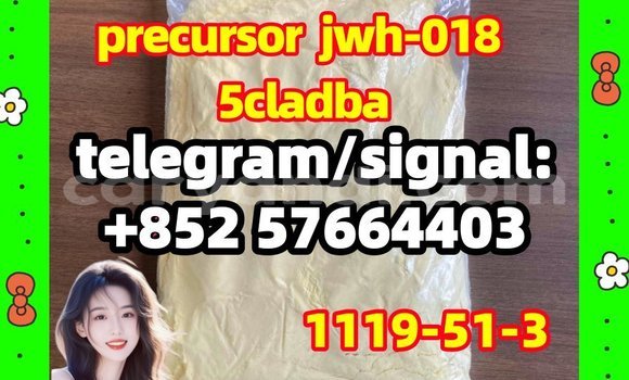 Medium with watermark 53
