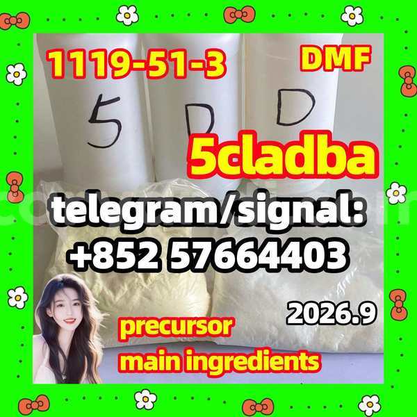 Big with watermark 54