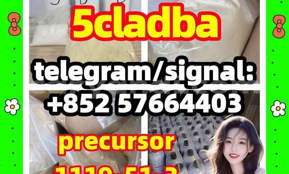 Medium with watermark 55