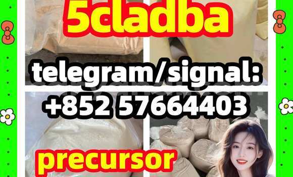 Medium with watermark 57