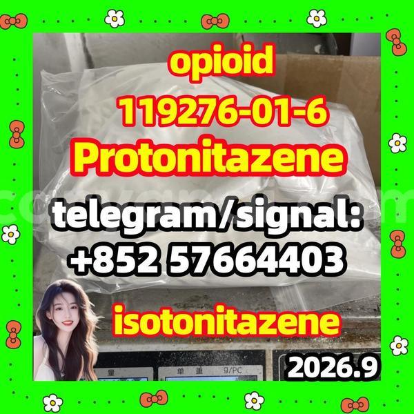 Big with watermark p1