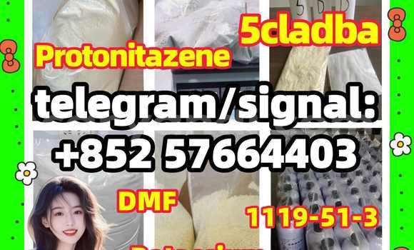 Medium with watermark z1