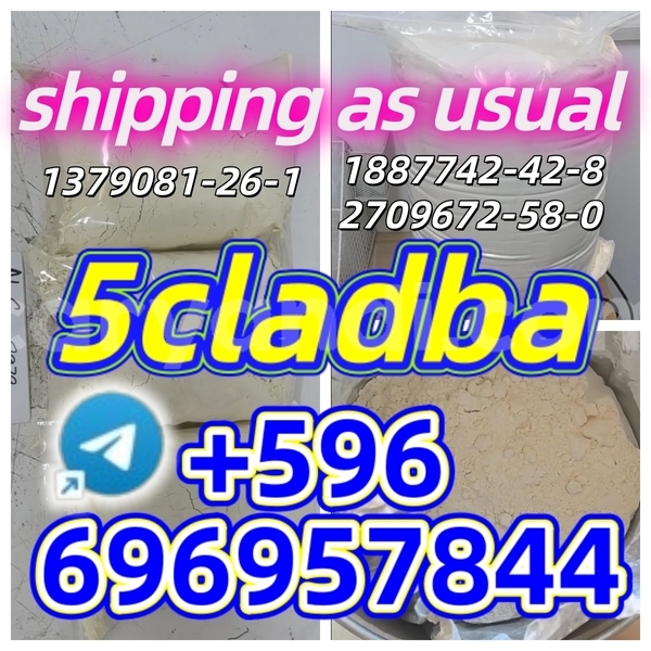 Big with watermark baltijas dzips bd 1322 southern choma 37787