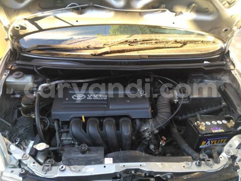 Big with watermark 57652751 342646193058406 7607899854596997120 n