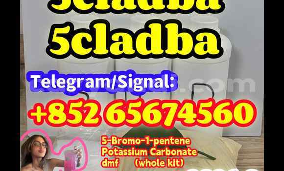 Medium with watermark asfvwegfergerger