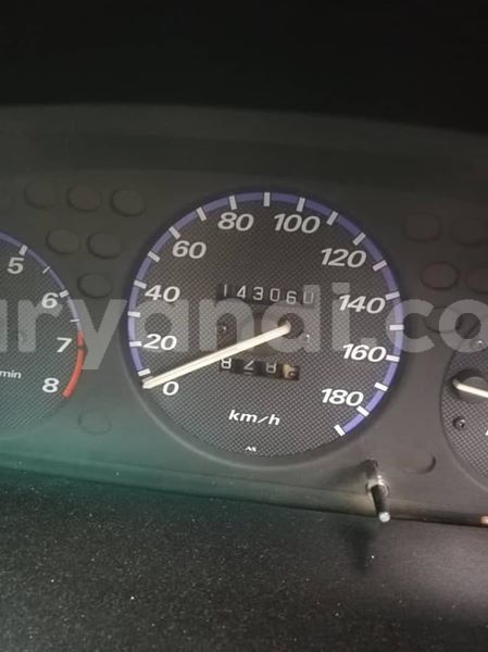 Big with watermark 57750827 342181729771519 7142011544975441920 n