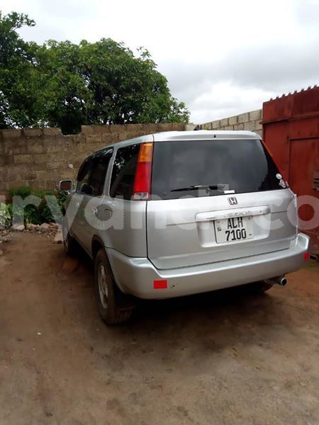 Big with watermark 58442362 342181643104861 3741465991457013760 n