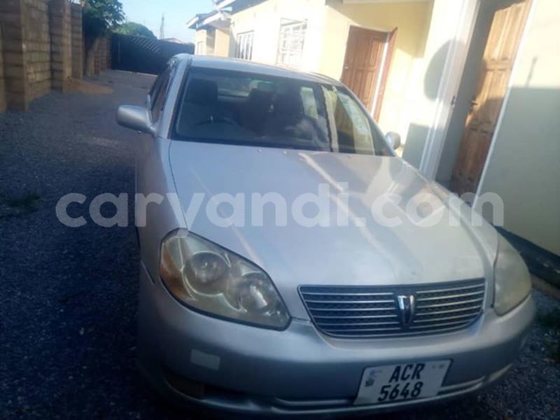 Big with watermark 57154998 339524206703938 3761734290019188736 n