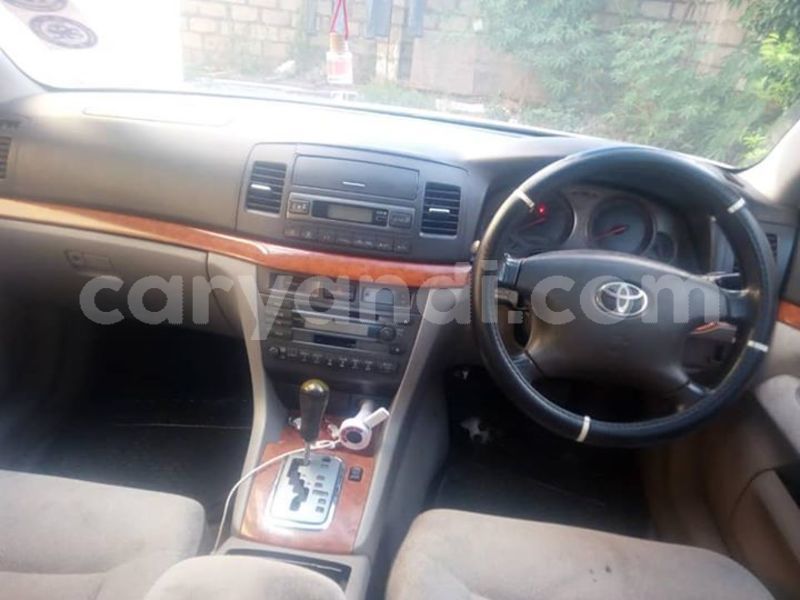 Big with watermark 57511589 339524353370590 1536844319049121792 n