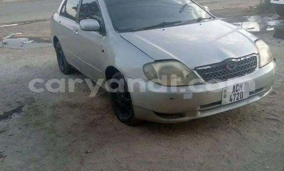 Buy Used Toyota Corolla Other Car in Lusaka in Zambia