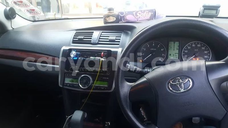 Big with watermark 56935173 336301497026209 4861283447219421184 n