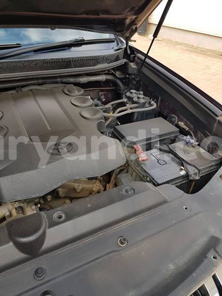 Big with watermark 56555871 335801573742868 281398470458212352 n