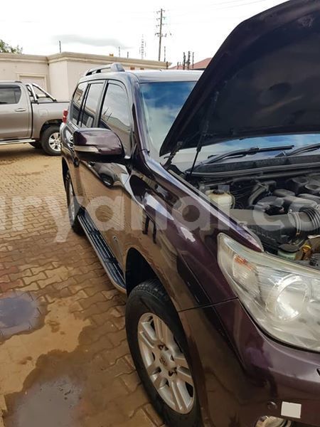 Big with watermark 56555926 335801433742882 1804437261379436544 n