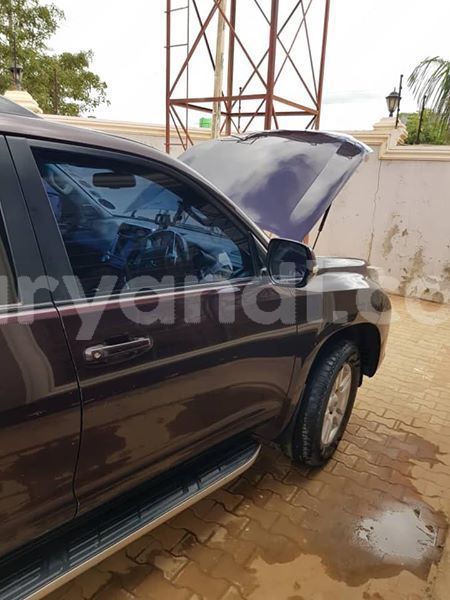 Big with watermark 56478634 335801390409553 6483605170306416640 n