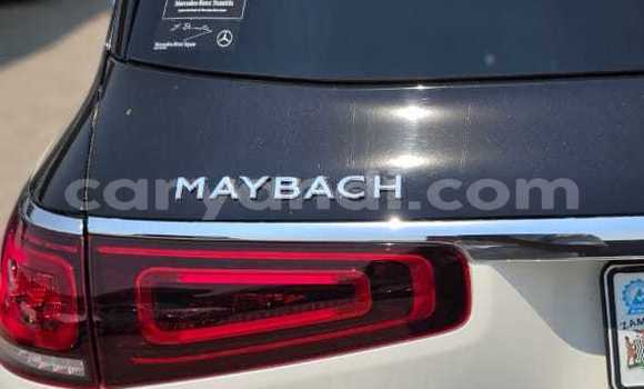 Tenga Itsva Maybach Exelero Chena Mota in Lusaka in Zambia Tenga Itsva Maybach Exelero Chena Mota in Lusaka in Zambia