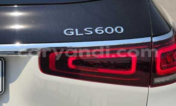 Tenga Itsva Maybach Exelero Chena Mota in Lusaka in Zambia Tenga Itsva Maybach Exelero Chena Mota in Lusaka in Zambia