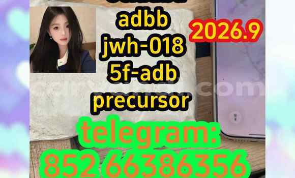 Medium with watermark 14