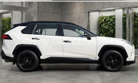 Buy Import Toyota RAV4 White Car in Lusaka in Zambia Buy Import Toyota RAV4 White Car in Lusaka in Zambia