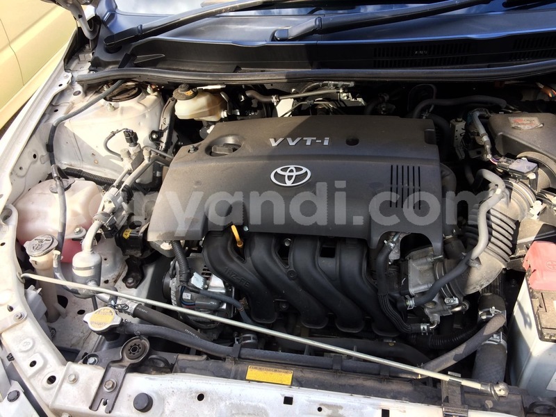 Big with watermark a13a8113 b243 4d4c 9005 d29e814f9d26