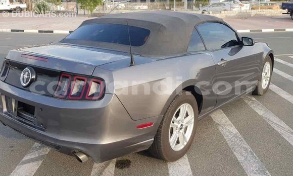Tenga Imported Ford Mustang Zvimwe Mota in Import - Dubai in Zambia Tenga Imported Ford Mustang Zvimwe Mota in Import - Dubai in Zambia