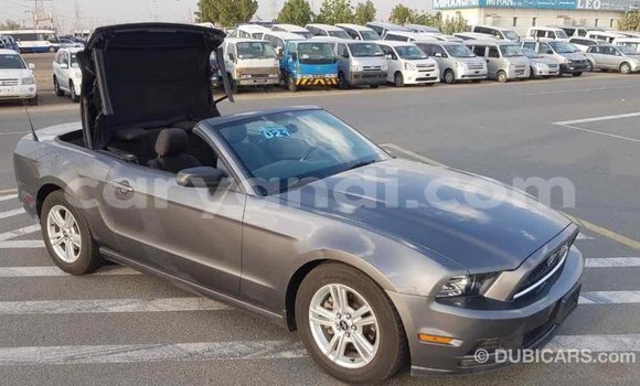 Tenga Imported Ford Mustang Zvimwe Mota in Import - Dubai in Zambia Tenga Imported Ford Mustang Zvimwe Mota in Import - Dubai in Zambia