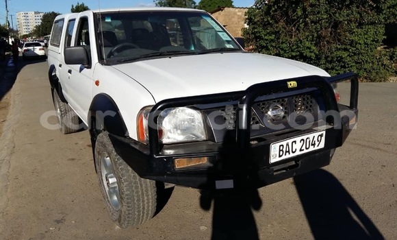 Buy Used Nissan Hardbody White Car in Lusaka in Zambia Buy Used Nissan Hardbody White Car in Lusaka in Zambia
