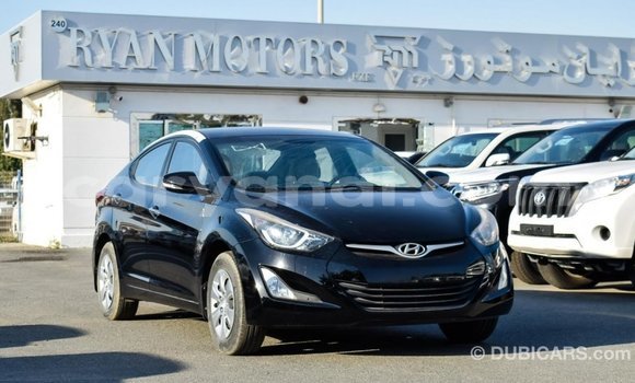 Buy Import Hyundai Elantra Black Car in Import - Dubai in Zambia Buy Import Hyundai Elantra Black Car in Import - Dubai in Zambia