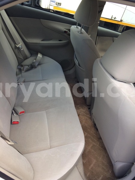 Big with watermark 53108384 c656 4b89 971f 563b4e5c7c4d