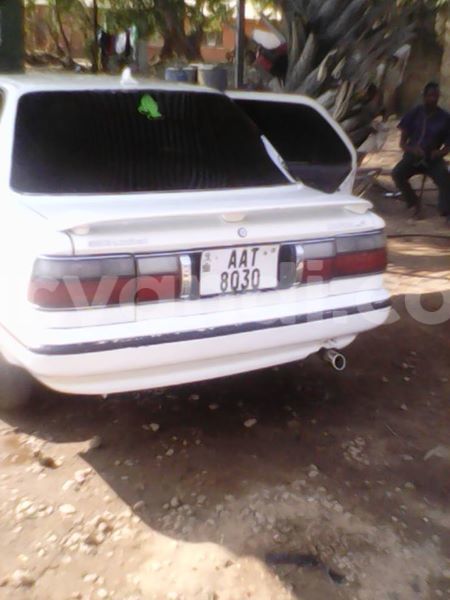 Big with watermark 14138662 1746685915580649 9078383618492148529 o