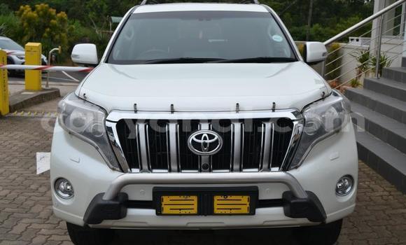 Tenga Tsaru Toyota Land Cruiser Prado Chena Mota in Lusaka in Zambia Tenga Tsaru Toyota Land Cruiser Prado Chena Mota in Lusaka in Zambia