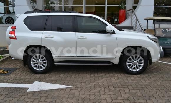 Tenga Tsaru Toyota Land Cruiser Prado Chena Mota in Lusaka in Zambia Tenga Tsaru Toyota Land Cruiser Prado Chena Mota in Lusaka in Zambia