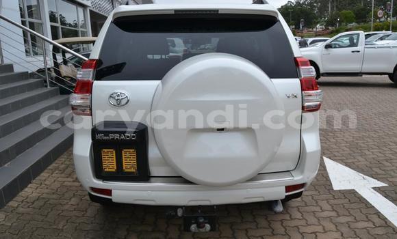 Tenga Tsaru Toyota Land Cruiser Prado Chena Mota in Lusaka in Zambia Tenga Tsaru Toyota Land Cruiser Prado Chena Mota in Lusaka in Zambia