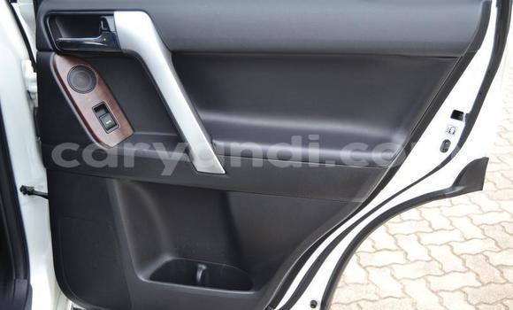 Tenga Tsaru Toyota Land Cruiser Prado Chena Mota in Lusaka in Zambia Tenga Tsaru Toyota Land Cruiser Prado Chena Mota in Lusaka in Zambia