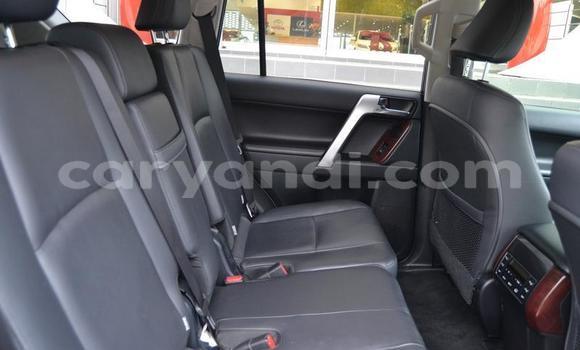 Tenga Tsaru Toyota Land Cruiser Prado Chena Mota in Lusaka in Zambia Tenga Tsaru Toyota Land Cruiser Prado Chena Mota in Lusaka in Zambia