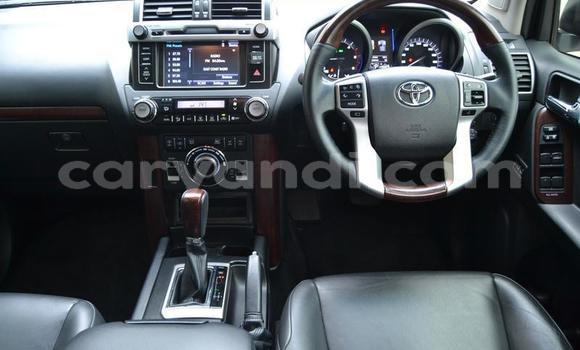 Tenga Tsaru Toyota Land Cruiser Prado Chena Mota in Lusaka in Zambia Tenga Tsaru Toyota Land Cruiser Prado Chena Mota in Lusaka in Zambia